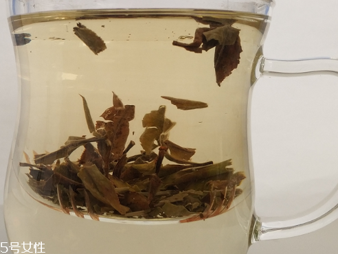白牡丹茶多少錢一斤？180元左右