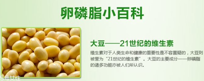 卵磷脂什么時(shí)候吃最好？早晚飯前最佳