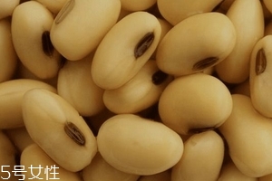 卵磷脂通乳嗎？這個還不一定