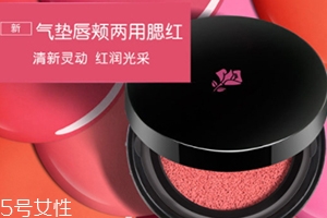 2022氣墊腮紅哪個牌子好用？