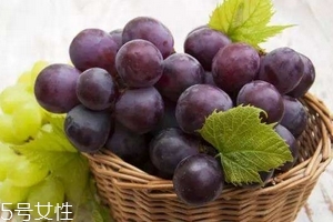 葡萄籽是雌激素嗎？一般是不含的