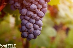 葡萄籽會影響月經(jīng)嗎？吃法正確就不會