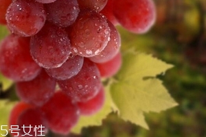 葡萄籽泡水喝有作用嗎？美容保健