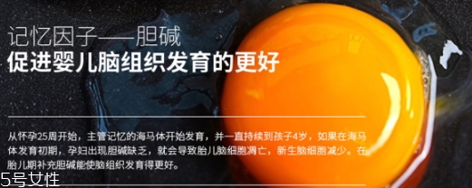 黃金素和dha可以一起吃嗎？