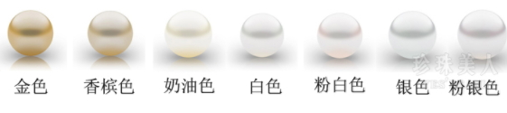 南洋珍珠什么顏色最好？