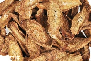 牛蒡茶是什么做的？牛蒡茶是樹(shù)根嗎？