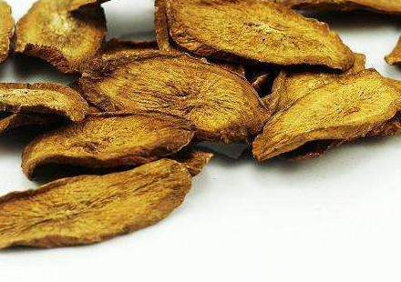 牛蒡茶是什么做的？牛蒡茶是樹(shù)根嗎？