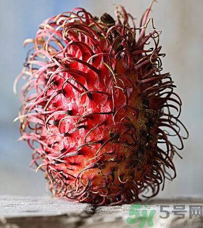 紅毛丹的核能吃嗎？紅毛丹的核可以吃嗎？
