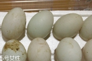 鴨蛋是酸性還是堿性？鴨蛋的性質(zhì)