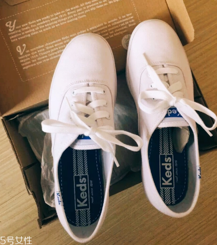 keds小白鞋多少錢？keds帆布鞋正品價位