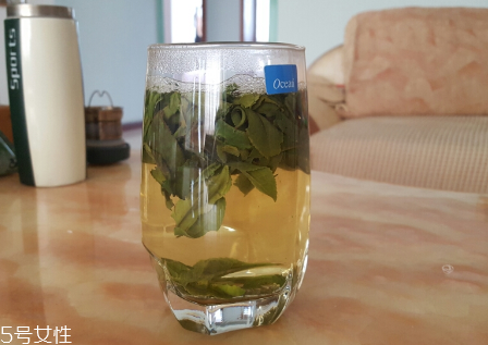 六安瓜片是什么茶？六安瓜片好喝嗎？