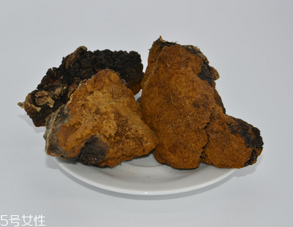 樺樹茸怎么泡水喝？樺樹茸泡水喝法