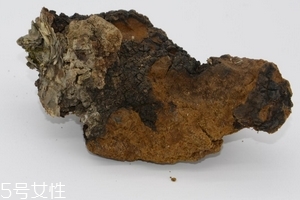樺樹茸是中藥嗎？樺樹茸屬于中藥嗎
