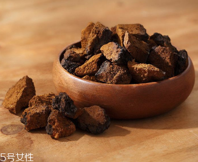 樺樹茸是中藥嗎？樺樹茸屬于中藥嗎
