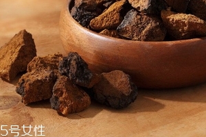 樺樹茸是樹黃嗎？樺樹茸屬于什么