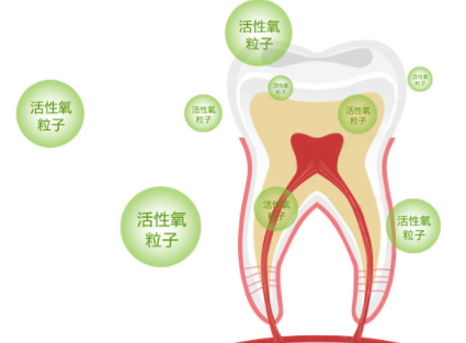 牙貼怎么分上下牙貼？牙貼怎么分正反