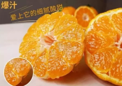 丑柑適合什么地方種植？丑柑上市時(shí)間
