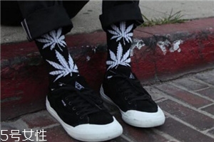 楓葉襪子是什么牌子？楓葉襪子品牌介紹