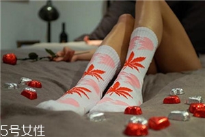 楓葉襪子正品多少錢(qián)？楓葉襪子價(jià)格詳情