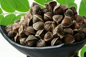 辣木籽哪里產(chǎn)的好？哪里的辣木籽最好？