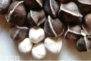 辣木籽味道 辣木籽甜還是苦？