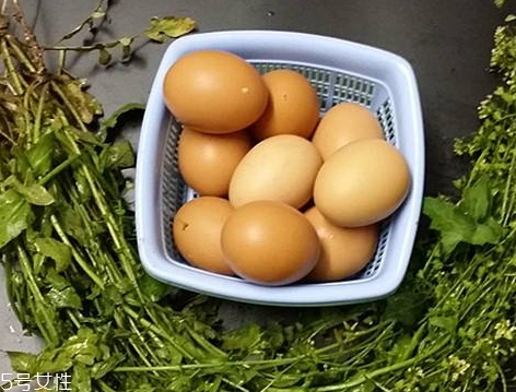 地菜花薺菜花煮雞蛋上午吃還是下午吃？