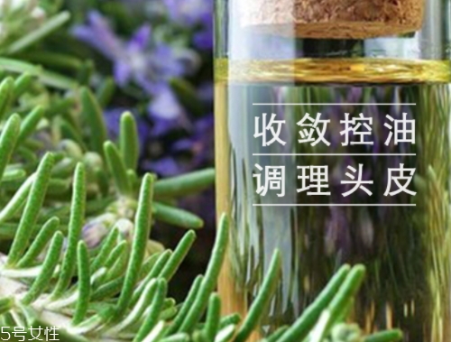 迷迭香精油怎么用？迷迭香精油使用注意事項