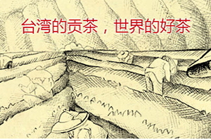 四云奶蓋貢茶哪個好喝？四云奶蓋貢茶點單攻略
