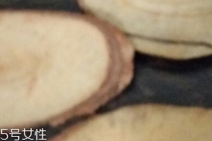 東革阿里是中藥嗎？東革阿里是什么？