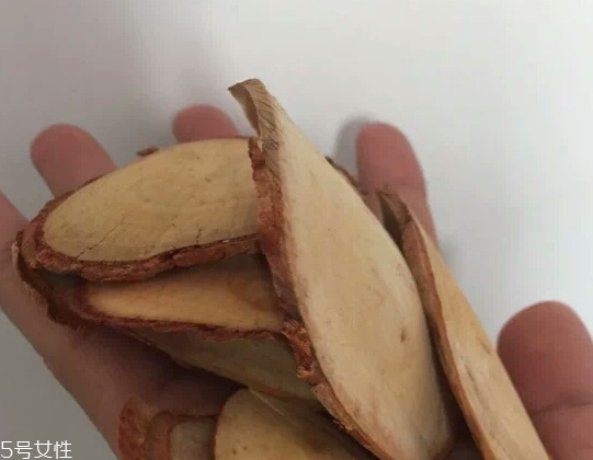 東革阿里是中藥嗎？東革阿里是什么？