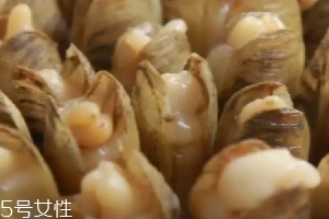 清蒸蟶子的做法 清蒸蟶子怎么做好吃？