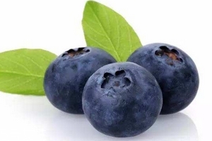 花青素是雌激素嗎？花青素是什么？