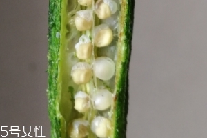 秋葵干好吃嗎？秋葵干怎么吃？
