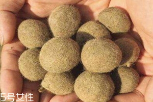 羊?qū)氃趺闯鍪?羊?qū)毜臓I養(yǎng)價(jià)值