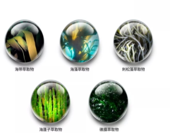 jm防曬噴霧什么味道？jmsolution防曬噴霧好聞嗎？