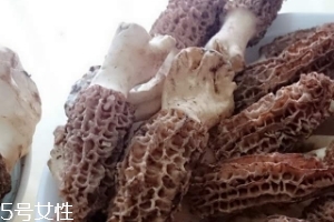 羊肚菌是什么東西？羊肚菌能吃嗎？