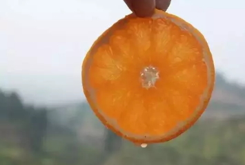 青見柑橘上火嗎？青見柑橘一天吃幾個(gè)好
