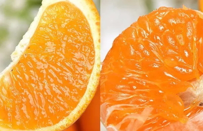 青見柑橘好吃嗎？青見柑橘酸嗎