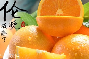 倫晚臍橙口感是酸的還是甜的？倫晚臍橙好吃嗎