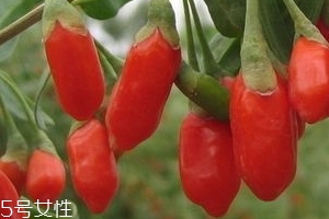 寧夏枸杞子多少錢一斤？寧夏枸杞價(jià)格
