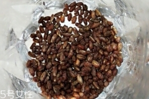 青稞茶怎么沖泡？青稞茶沖泡方法