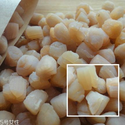 干貝是海鮮嗎？干貝是什么動(dòng)物做的？
