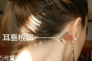 暈車(chē)貼貼哪里？暈車(chē)貼貼哪里示意圖