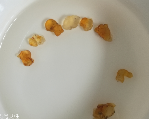 桃膠能和紅糖一起煮嗎？桃膠煮紅糖好嗎？