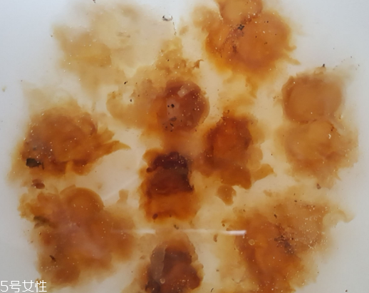 桃膠可以用開水泡嗎？用開水泡桃膠好嗎？