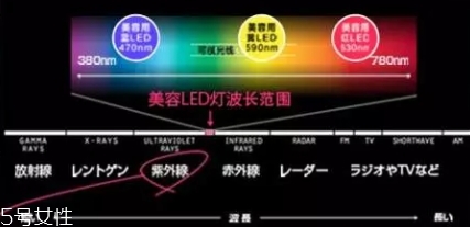 belulu大排燈怎么樣？belulu大排燈和exideal大排燈哪個(gè)好