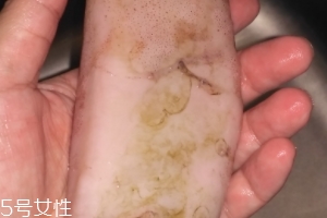 魷魚(yú)是海鮮嗎？魷魚(yú)屬于海鮮嗎？
