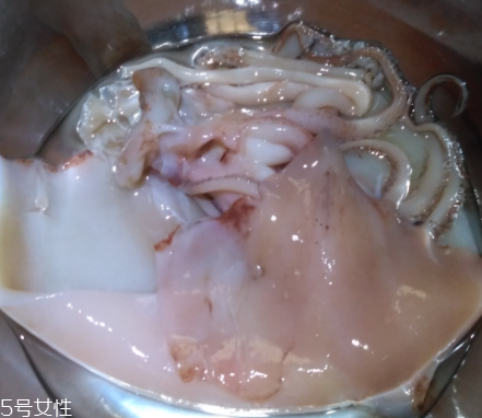 魷魚(yú)是海鮮嗎？魷魚(yú)屬于海鮮嗎？