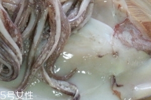 魷魚是烏賊嗎？魷魚跟烏賊是一種嗎？