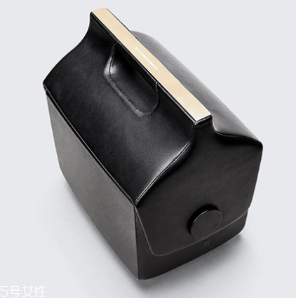 alexander wang與夢龍合作款包包多少錢_在哪買？